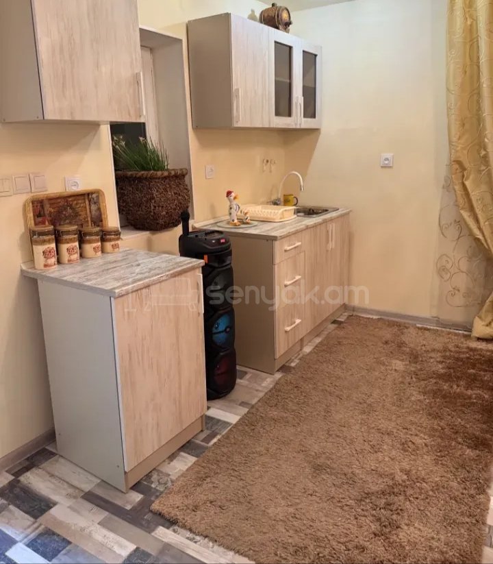 2 Սենյականոց Բնակարան Քարե Շենքում, 58քմ, 1/1 հարկ, Կապիտալ Վերանորոգված, Կահավորված