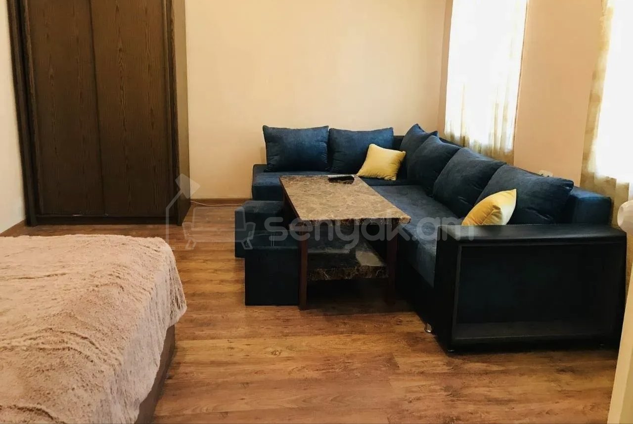 1 Սենյականոց Բնակարան Քարե Շենքում, 40քմ, 1/1 հարկ, Կապիտալ Վերանորոգված, Կահավորված