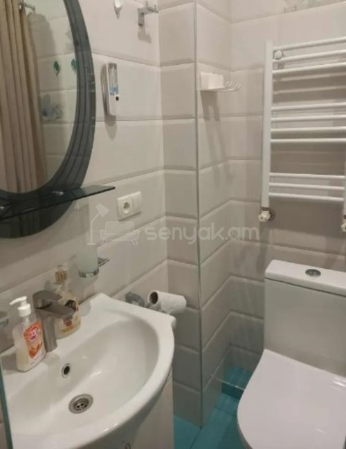 2 Սենյականոց Բնակարան, 45քմ, 3/6 հարկ, Կապիտալ Վերանորոգված, Կահավորված, Արևկող