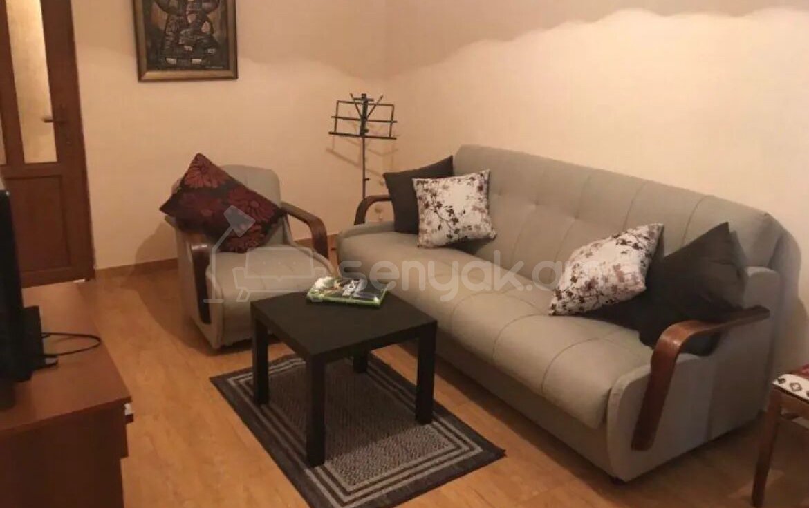 2 Սենյականոց Բնակարան Քարե Շենքում, 48քմ, 1/3 հարկ, Կապիտալ Վերանորոգված, Կահավորված