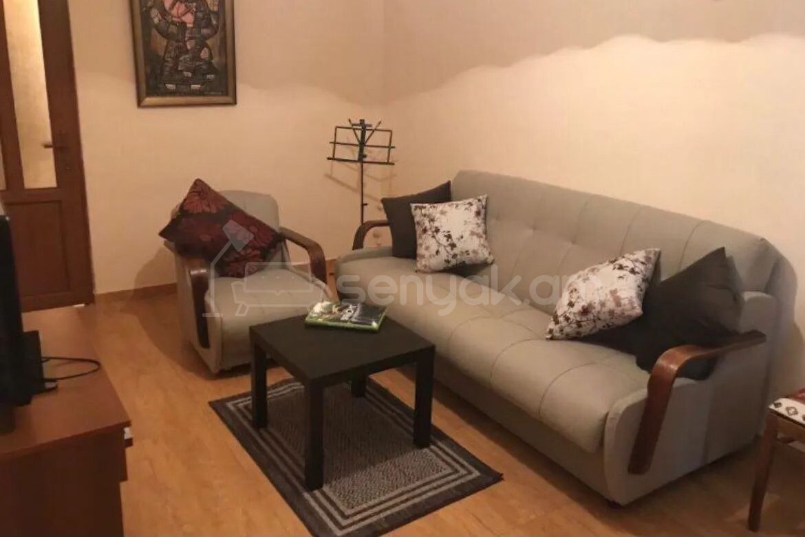 2 Սենյականոց Բնակարան Քարե Շենքում, 48քմ, 1/3 հարկ, Կապիտալ Վերանորոգված, Կահավորված