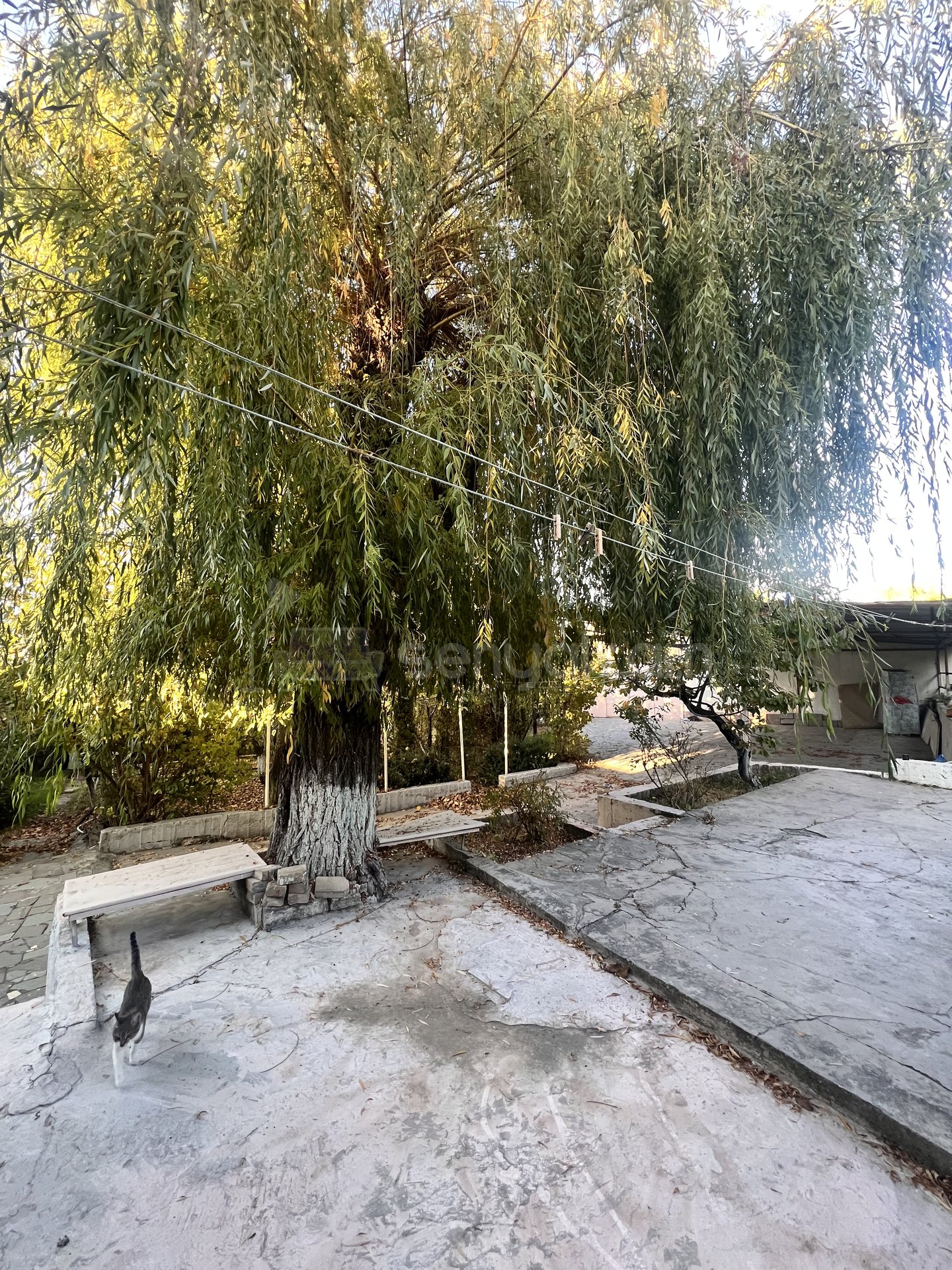 3 Սենյականոց Ամառանոց, 200քմ, Կահավորված, Լողավազանով, Ավտոտնակով