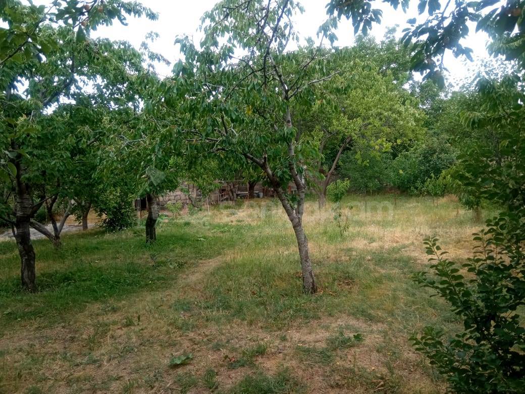 8 Սենյականոց Սեփական Տուն, 300քմ, Կոսմետիկ Վերանորոգված