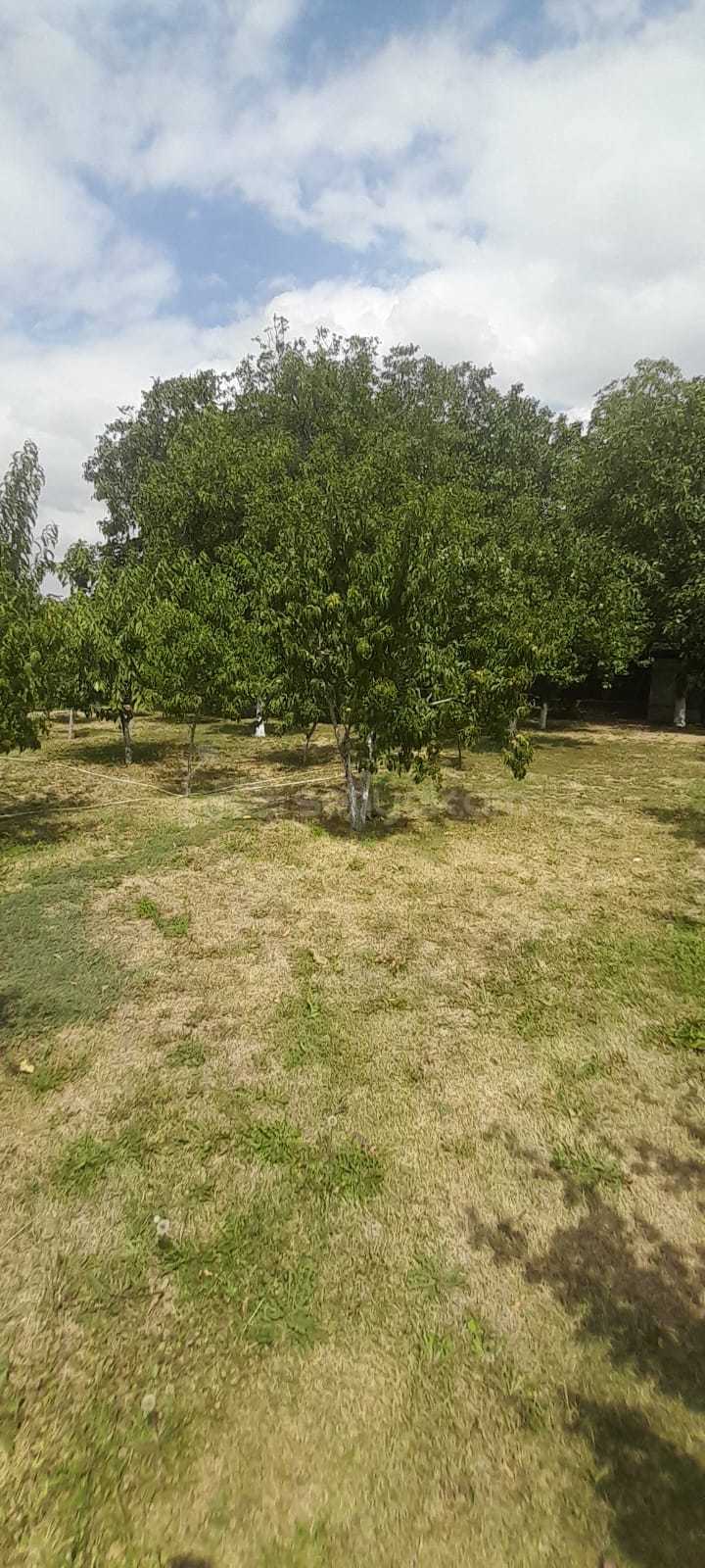 6 Սենյականոց Սեփական Տուն, 200քմ, Նորմալ Վիճակում