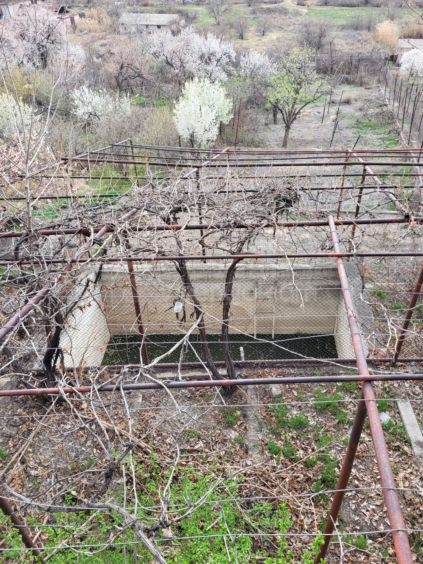 2 Սենյականոց Ամառանոց, 129քմ, Լողավազանով