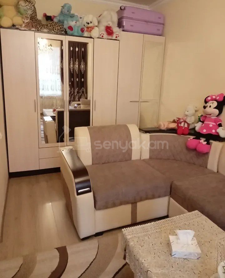 1 Սենյականոց Բնակարան, 44քմ, 1/9 հարկ, Կոսմետիկ Վերանորոգված