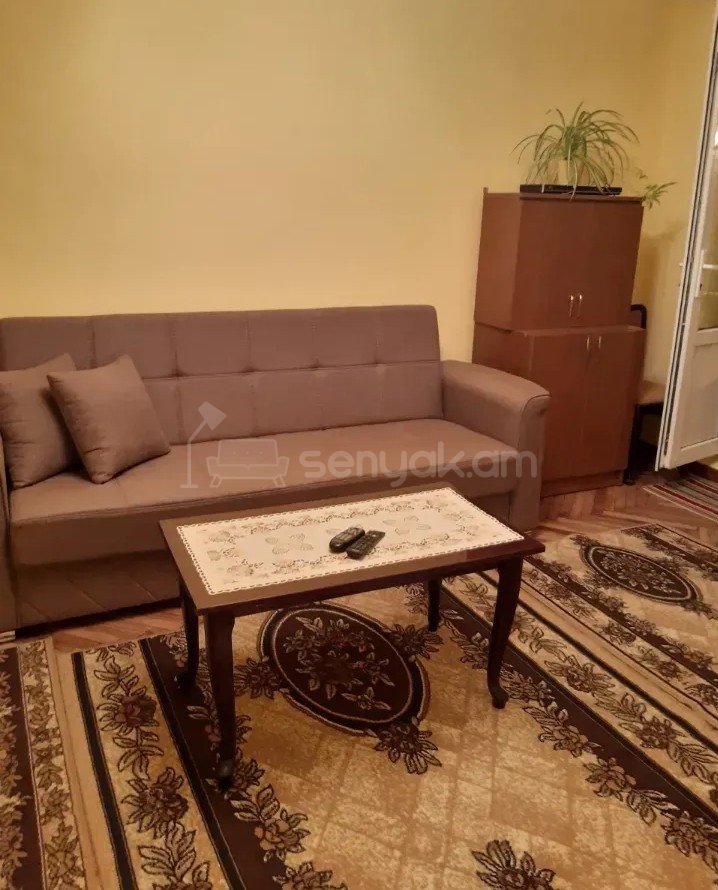 1 Սենյականոց Բնակարան, 32քմ, 2/3 հարկ, Կոսմետիկ Վերանորոգված