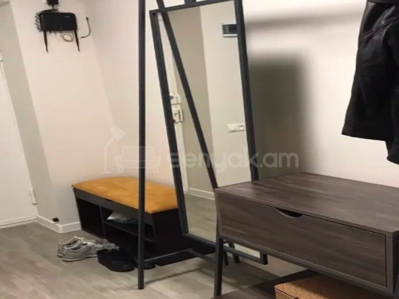 1 Սենյականոց Բնակարան Քարե Շենքում, 50քմ, 3/5 հարկ, Դիզայներական Վերանորոգված