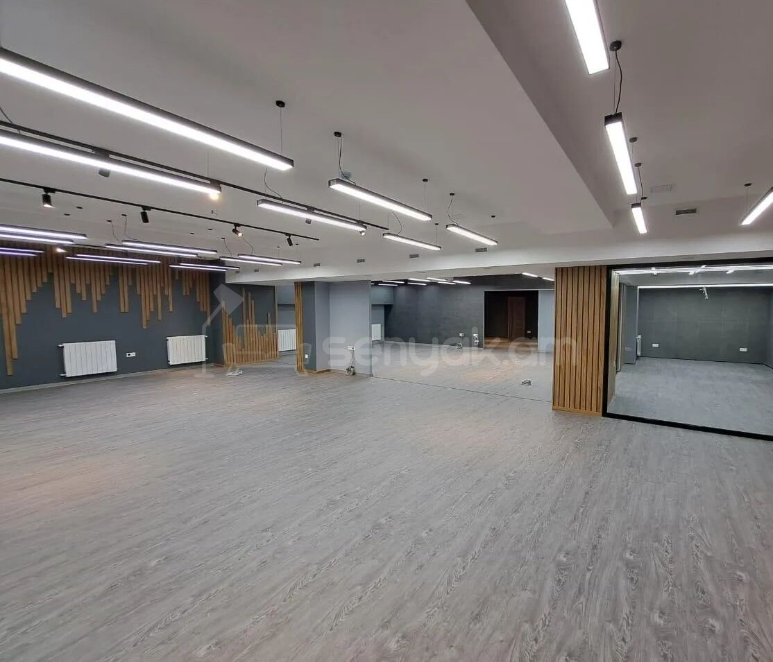 Կոմերցիոն Տարածք, 350քմ, Կապիտալ Վերանորոգված