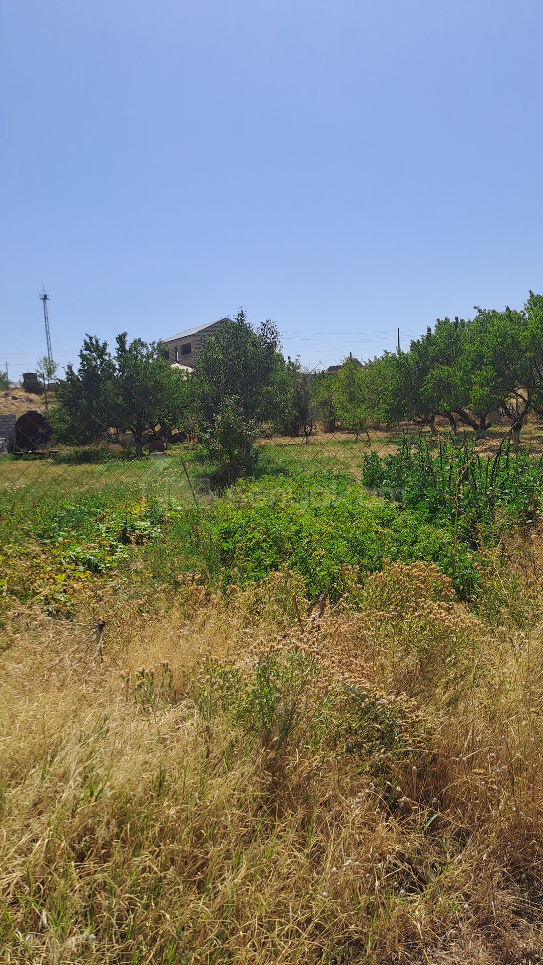 Բնակելի Նշանակության Հողատարածք, 600քմ, Էլեկտրականությամբ