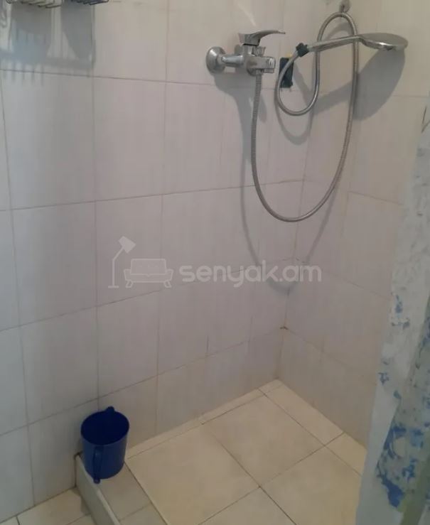 2 Սենյականոց Բնակարան Քարե Շենքում, 66քմ, 4/5 հարկ, Կոսմետիկ Վերանորոգված, Կահավորված