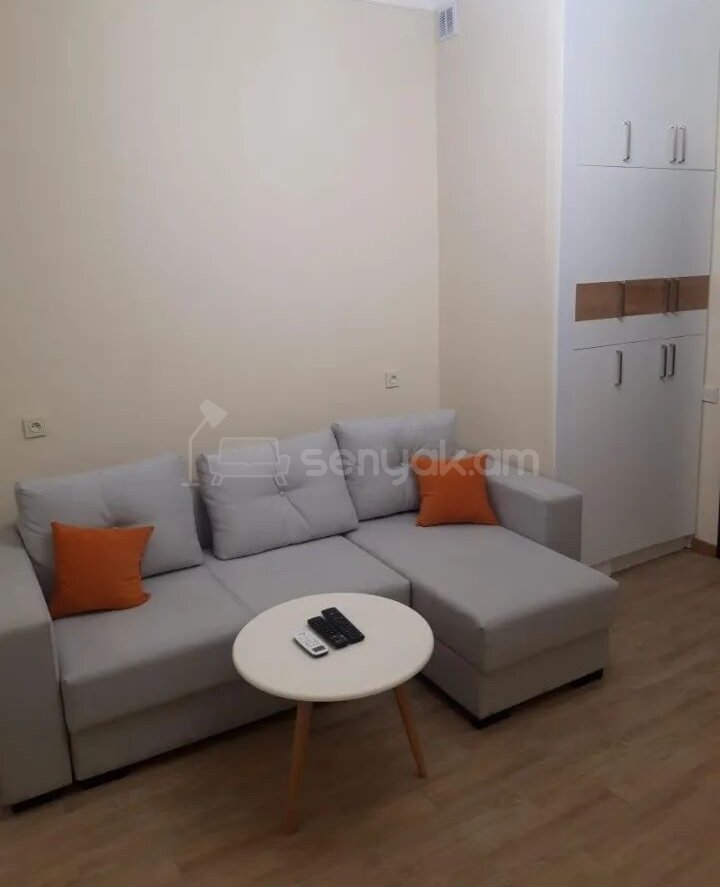 2 Սենյականոց Բնակարան, 45քմ, 4/6 հարկ, Կապիտալ Վերանորոգված, Կահավորված