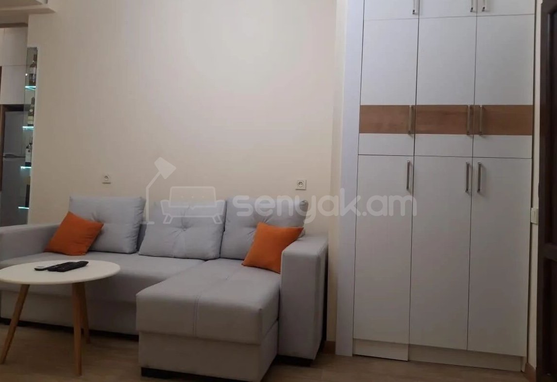 2 Սենյականոց Բնակարան, 45քմ, 4/6 հարկ, Կապիտալ Վերանորոգված, Կահավորված