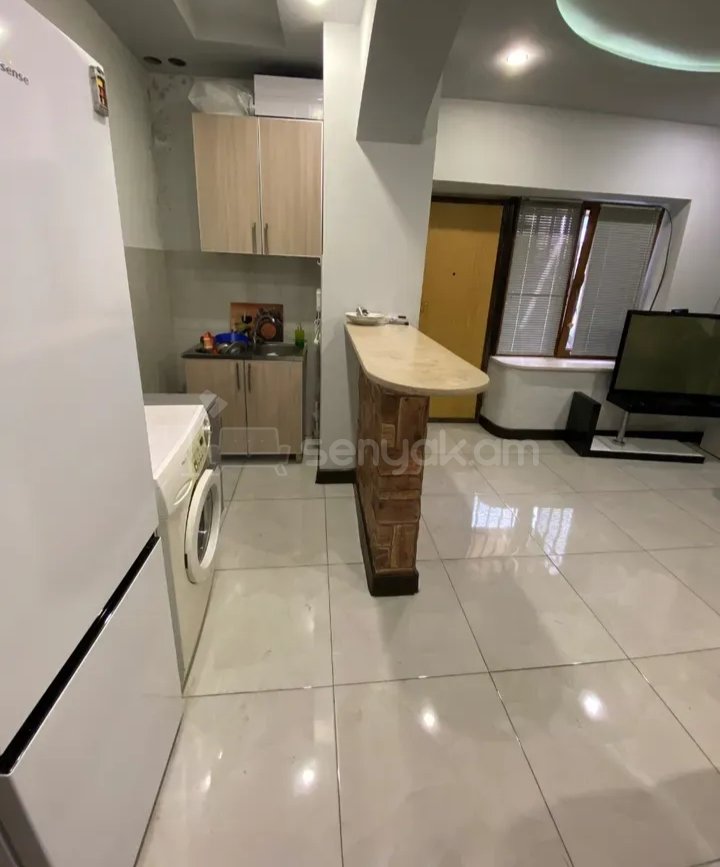 2 Սենյականոց Բնակարան Քարե Շենքում, 40քմ, 1/1 հարկ, Նորմալ Վիճակում, Կահավորված