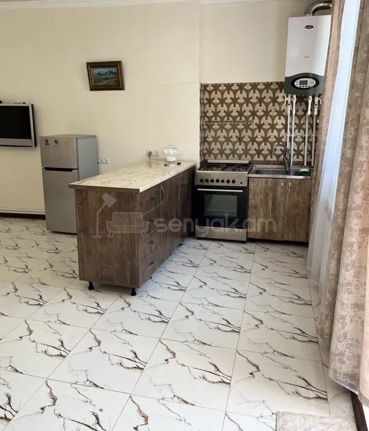 2 Սենյականոց Բնակարան Քարե Շենքում, 57քմ, 1/1 հարկ, Կապիտալ Վերանորոգված, Կահավորված