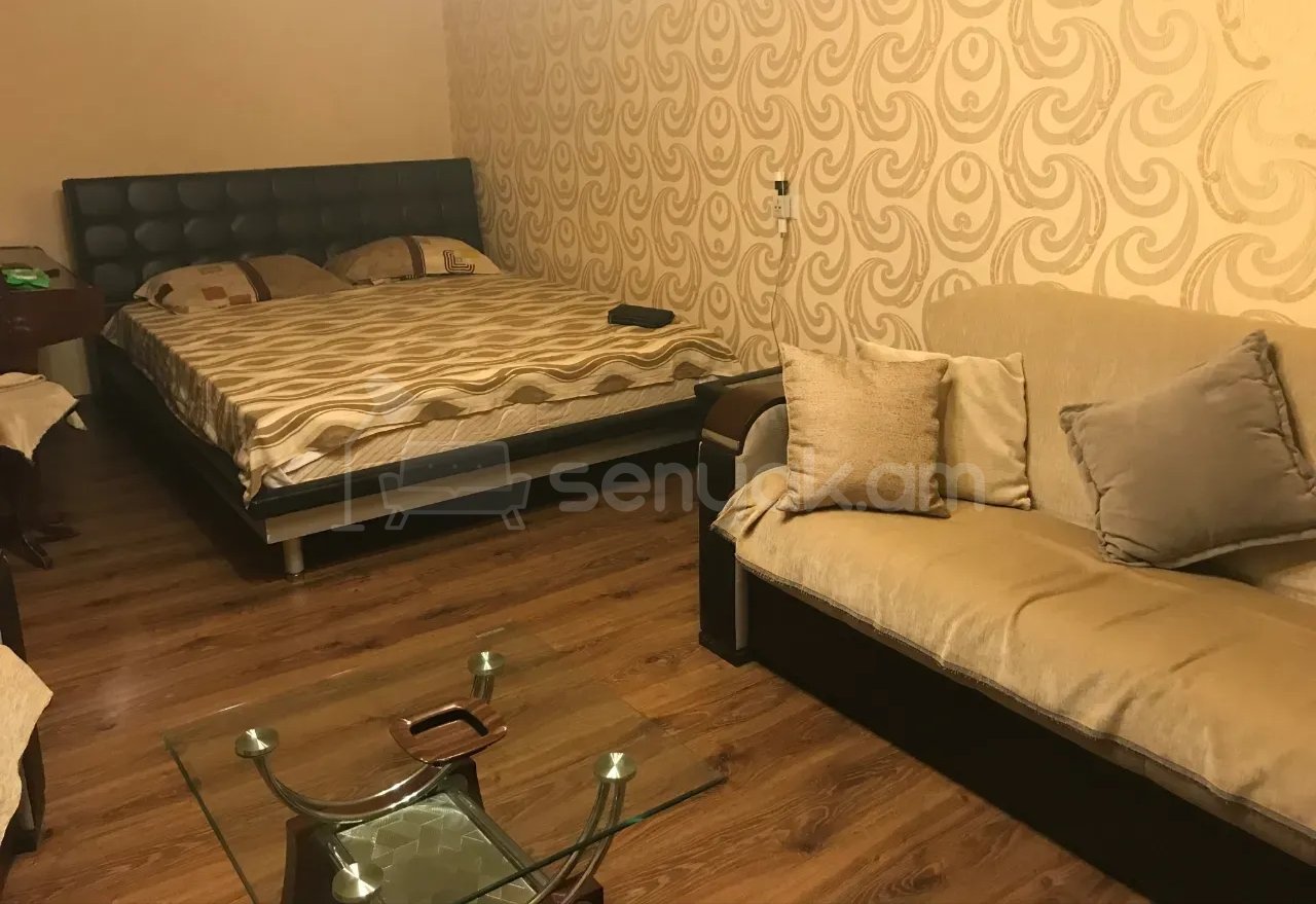 1 Սենյականոց Բնակարան Քարե Շենքում, 48քմ, 1/5 հարկ, Կապիտալ Վերանորոգված, Կահավորված, Արևկող