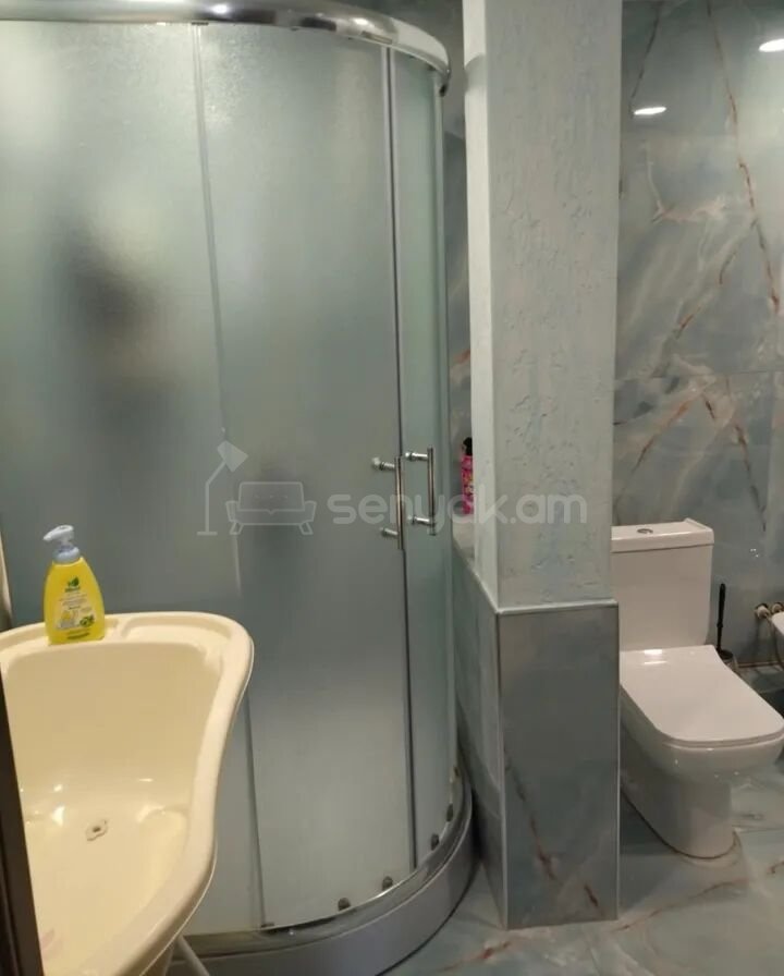 3 Սենյականոց Բնակարան, 67քմ, 7/9 հարկ, Կապիտալ Վերանորոգված, Կահավորված