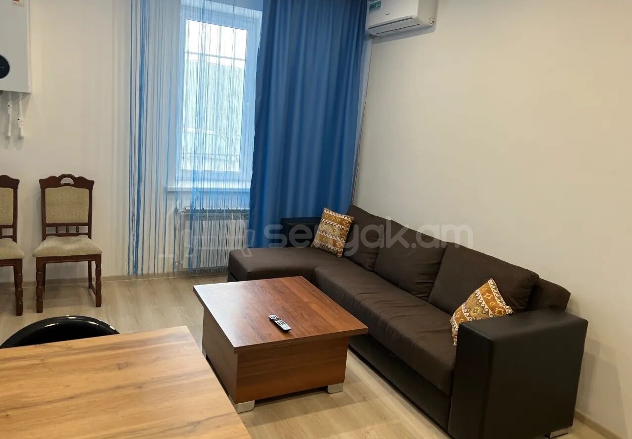 2 Սենյականոց Բնակարան, 45քմ, 1/13 հարկ, Կապիտալ Վերանորոգված