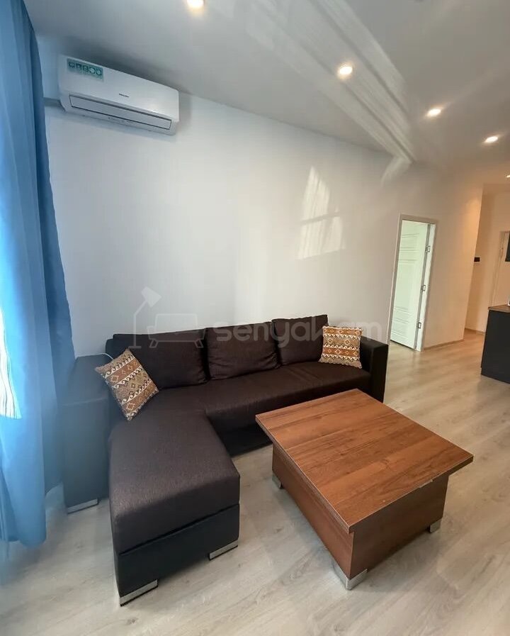 2 Սենյականոց Բնակարան, 45քմ, 1/13 հարկ, Կապիտալ Վերանորոգված