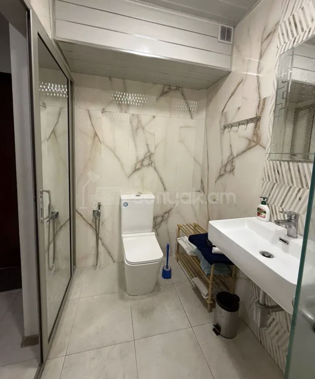 3 Սենյականոց Բնակարան Քարե Շենքում, 78քմ, 2/9 հարկ, Կապիտալ Վերանորոգված, Կահավորված