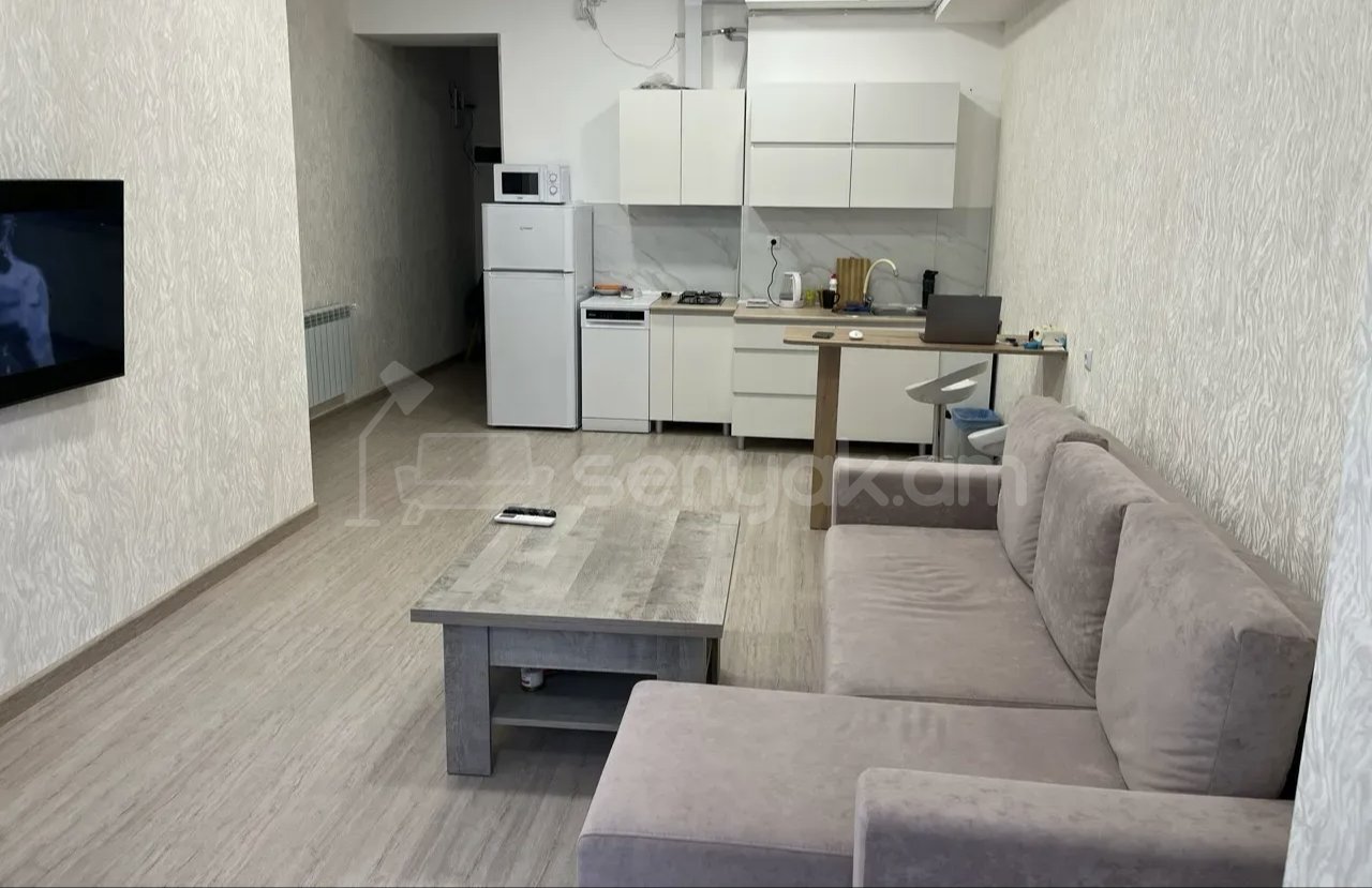 2 Սենյականոց Բնակարան Քարե Շենքում, 58քմ, 4/9 հարկ, Կապիտալ Վերանորոգված, Կահավորված, Արևկող