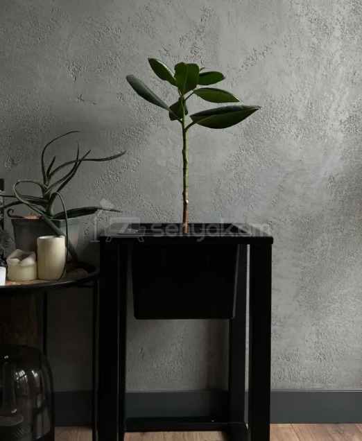 2 Սենյականոց Բնակարան Նորակառույցում, 54քմ, 2/15 հարկ, Կապիտալ Վերանորոգված