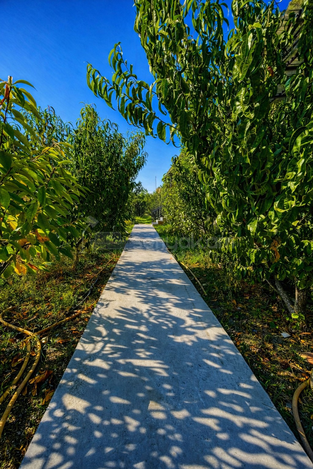 2 Սենյականոց Սեփական Տուն, 55քմ, Կապիտալ Վերանորոգված, Կահավորված