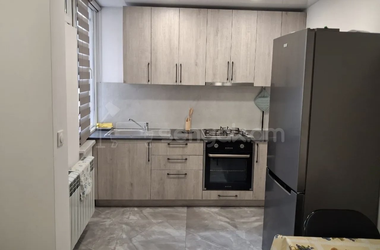 2 Սենյականոց Բնակարան Քարե Շենքում, 43քմ, 1/1 հարկ, Նորմալ Վիճակում, Կահավորված