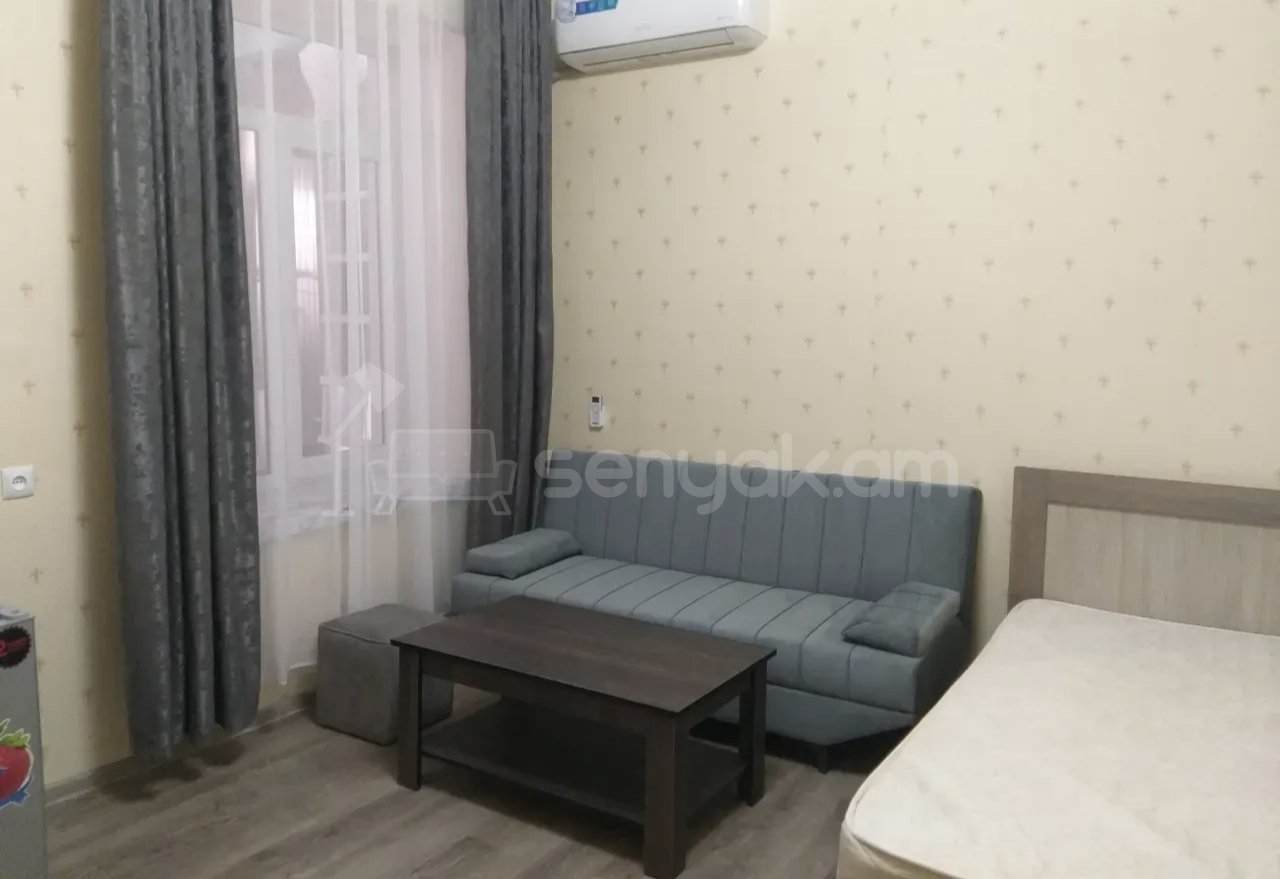 1 Սենյականոց Բնակարան Քարե Շենքում, 35քմ, 1/1 հարկ, Նորմալ Վիճակում, Կահավորված