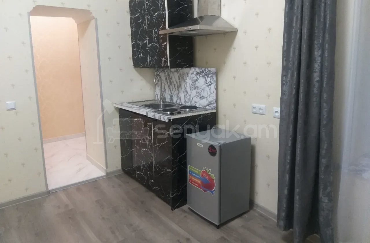 1 Սենյականոց Բնակարան Քարե Շենքում, 35քմ, 1/1 հարկ, Նորմալ Վիճակում, Կահավորված