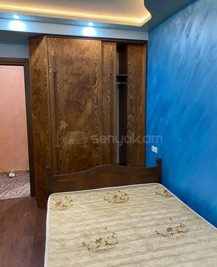 2 Սենյականոց Բնակարան Քարե Շենքում, 68քմ, 2/5 հարկ, Կապիտալ Վերանորոգված, Կահավորված