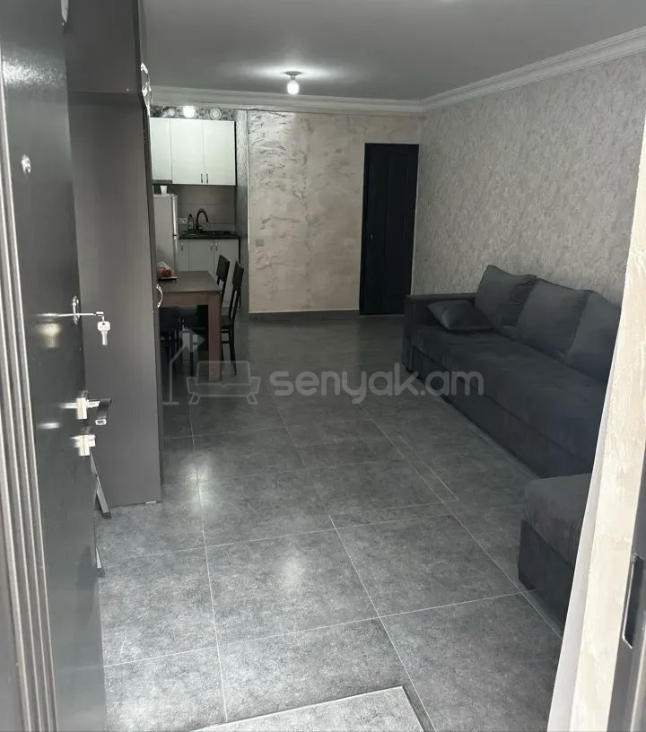 1 Սենյականոց Բնակարան Քարե Շենքում, 30քմ, 1/1 հարկ, Նորմալ Վիճակում, Կահավորված