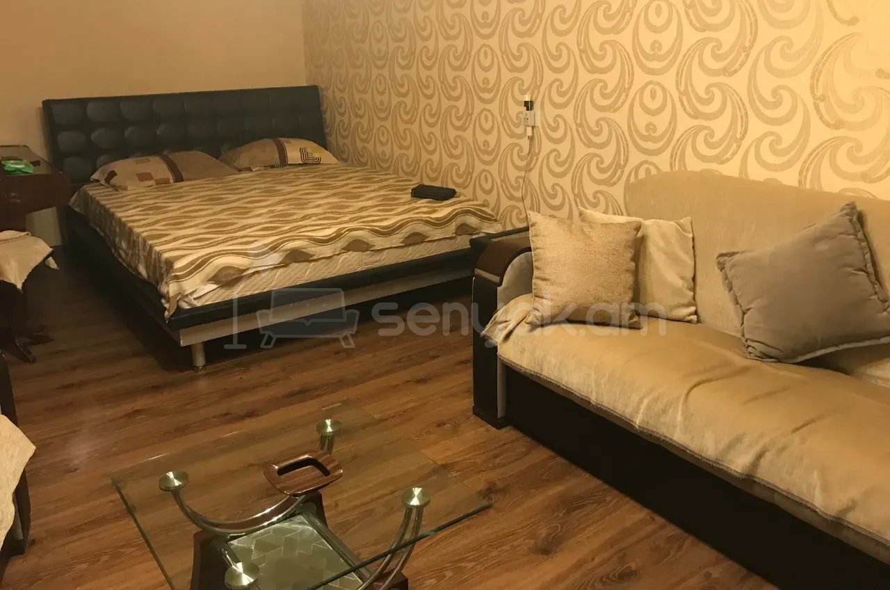 1 Սենյականոց Բնակարան Քարե Շենքում, 45քմ, 1/5 հարկ, Կապիտալ Վերանորոգված, Կահավորված