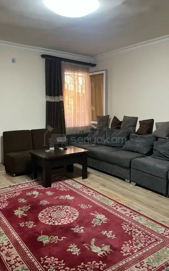 3 Սենյականոց Սեփական Տուն, 91քմ, Կապիտալ Վերանորոգված