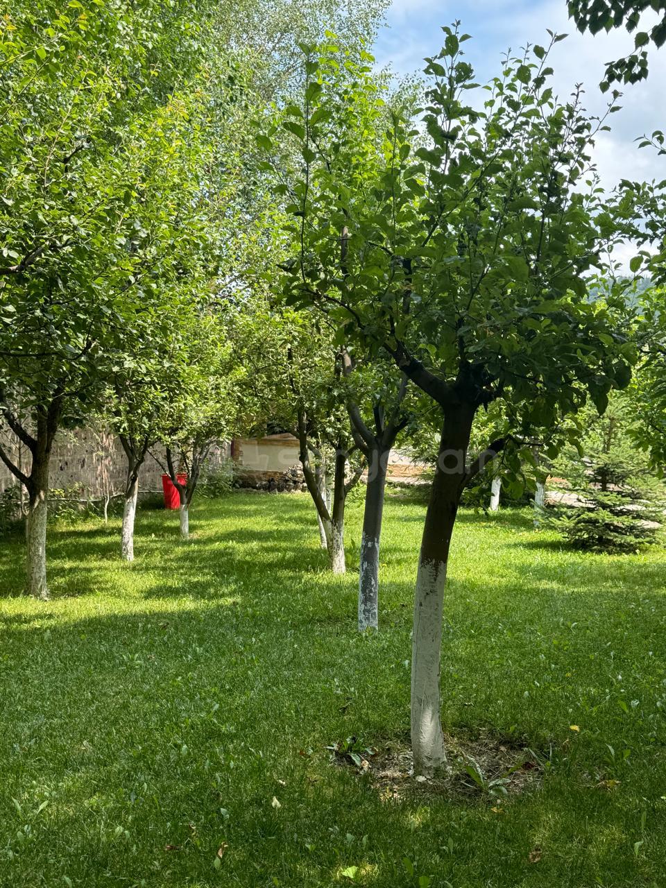 5 Սենյականոց Սեփական Տուն, 240քմ, Դիզայներական Վերանորոգված