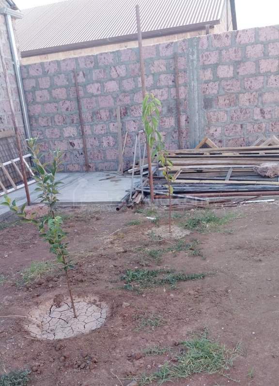 3 Սենյականոց Սեփական Տուն, 88քմ, Կապիտալ Վերանորոգված, Ավտոտնակով