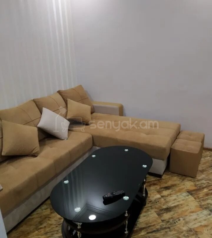 2 Սենյականոց Սեփական Տուն, 47քմ, Կապիտալ Վերանորոգված, Կահավորված