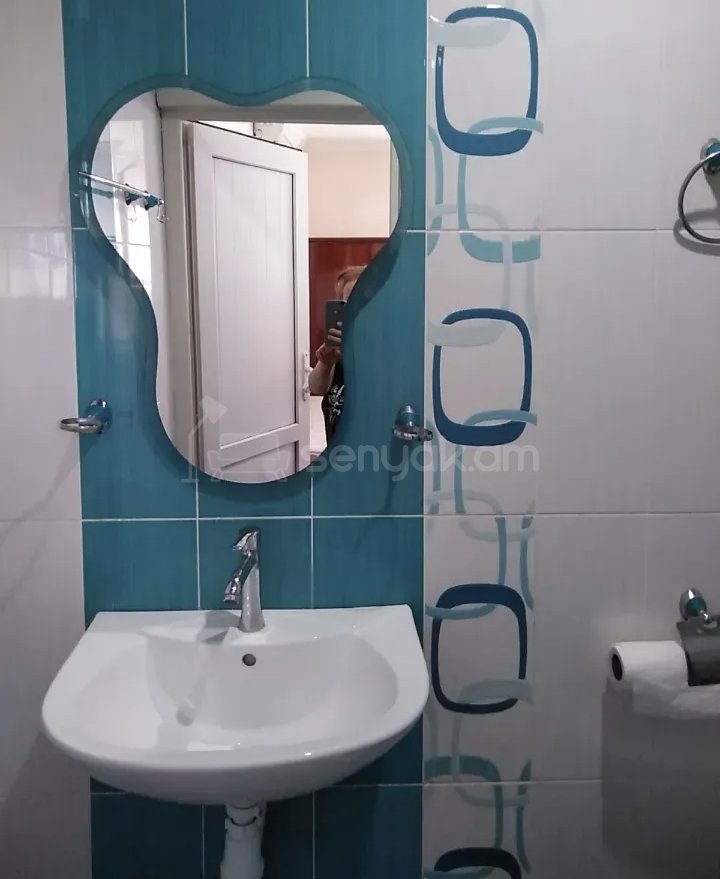 1 Սենյականոց Բնակարան Քարե Շենքում, 30քմ, 1/1 հարկ, Նորմալ Վիճակում, Կահավորված