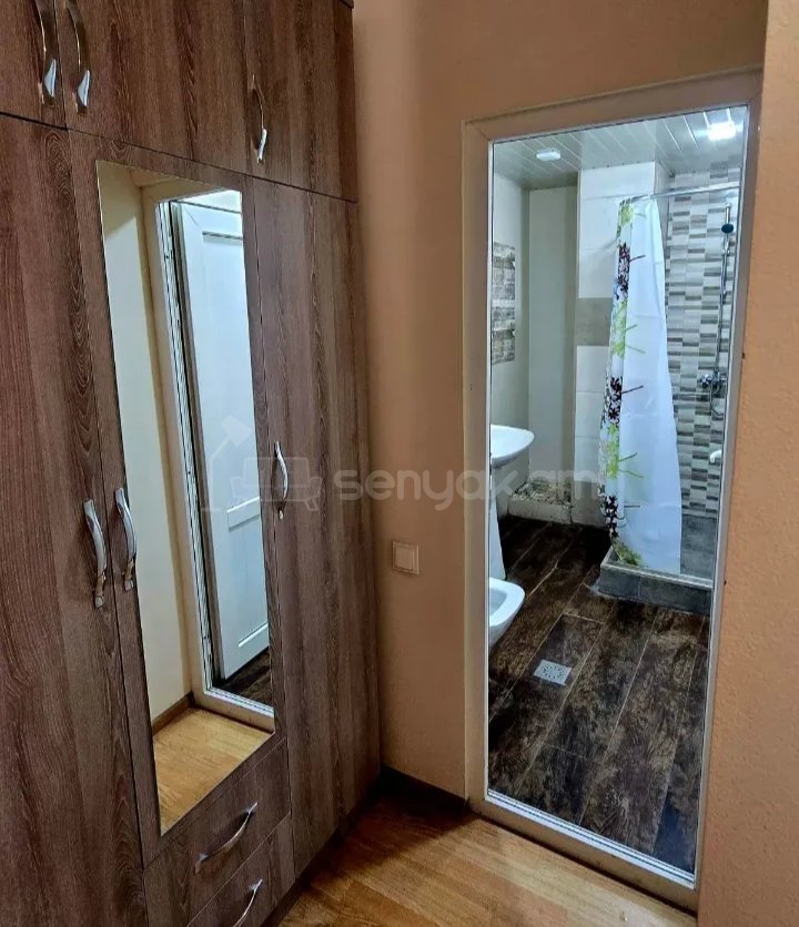 1 Սենյականոց Բնակարան, 45քմ, 4/9 հարկ, Նորմալ Վիճակում, Կահավորված