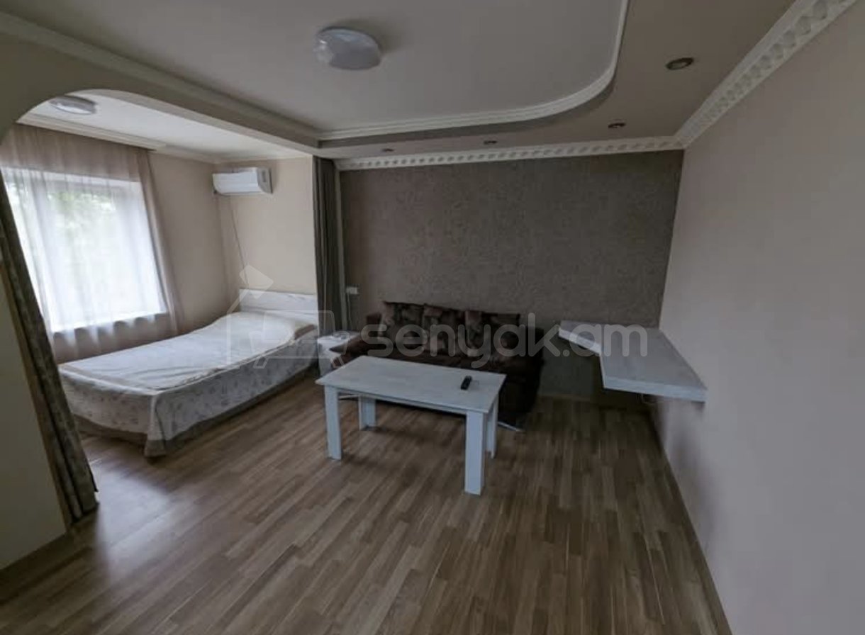 1 Սենյականոց Բնակարան Քարե Շենքում, 44քմ, 2/4 հարկ, Կապիտալ Վերանորոգված, Կահավորված