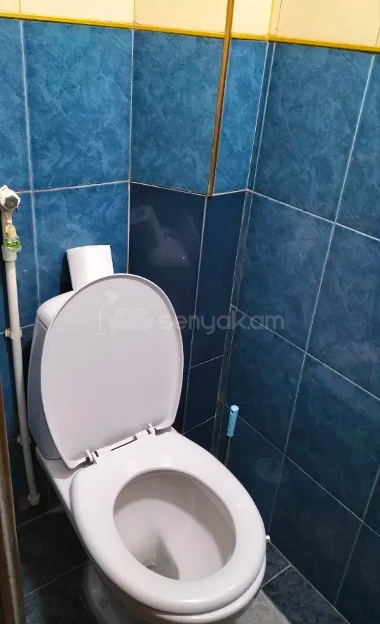 3 Սենյականոց Բնակարան, 76քմ, 5/9 հարկ, Նորմալ Վիճակում, Կահավորված, Արևկող