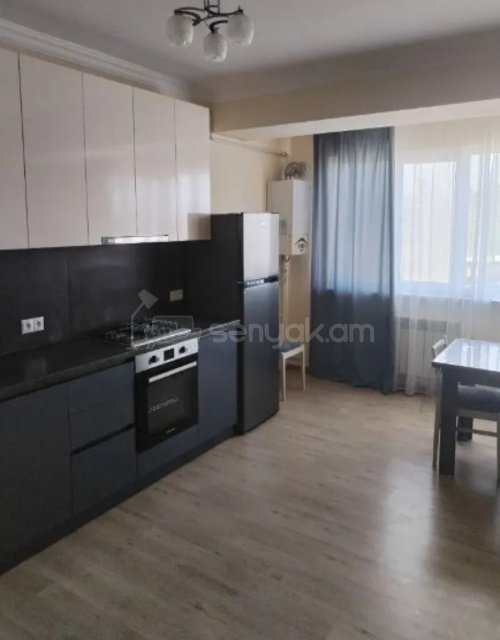 2 Սենյականոց Բնակարան, 50քմ, 10/12 հարկ, Կապիտալ Վերանորոգված