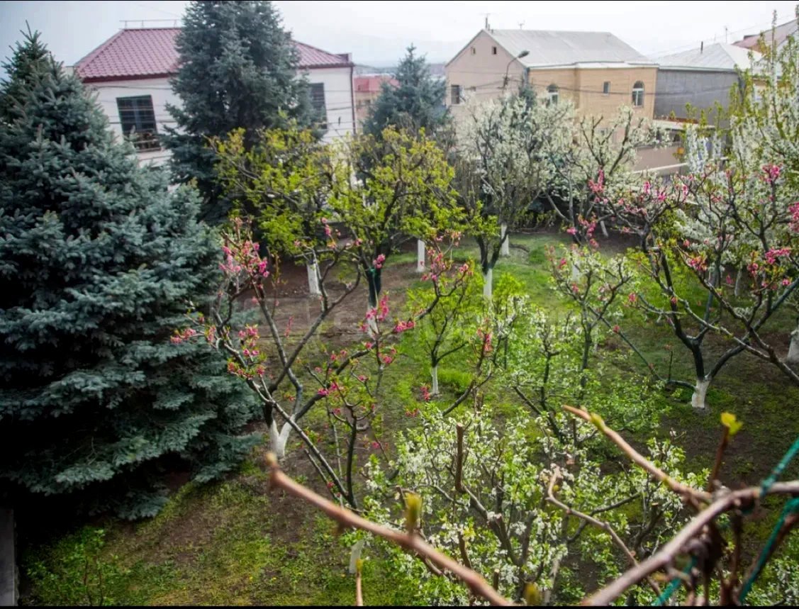 8 Սենյականոց Շքեղ Առանձնատուն, 540քմ, Ավտոտնակով