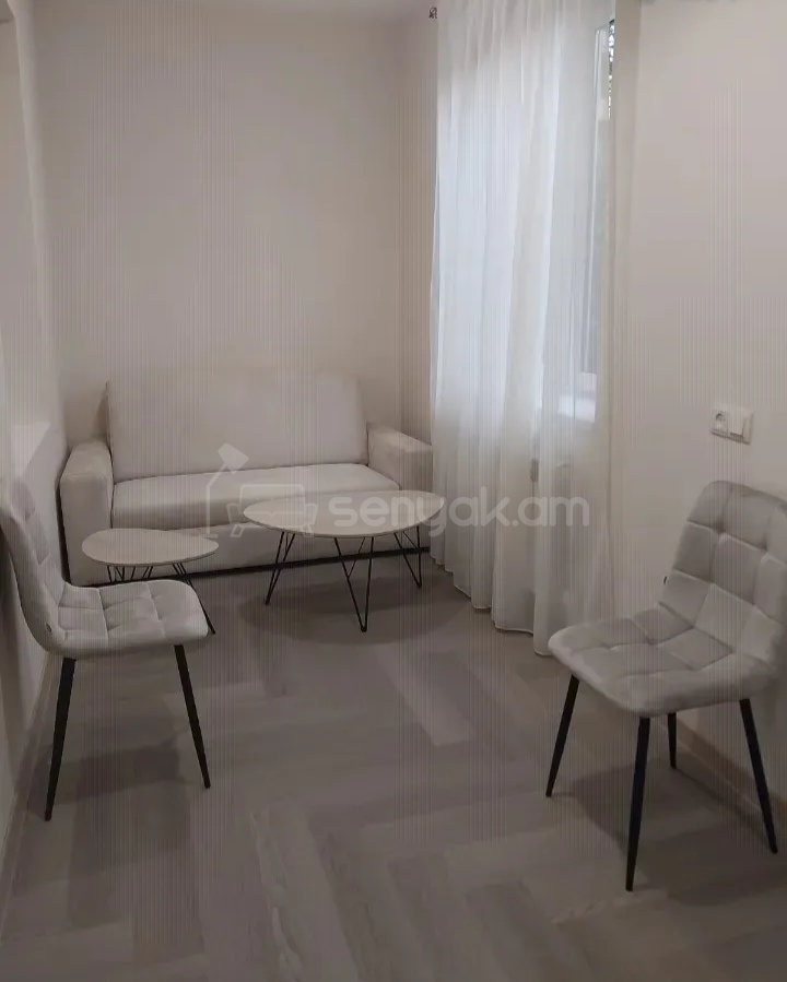 3 Սենյականոց Բնակարան Քարե Շենքում, 100քմ, 1/4 հարկ, Կապիտալ Վերանորոգված, Կահավորված