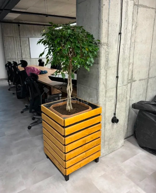 Նորակառույց Օֆիսային Տարածք, 580քմ