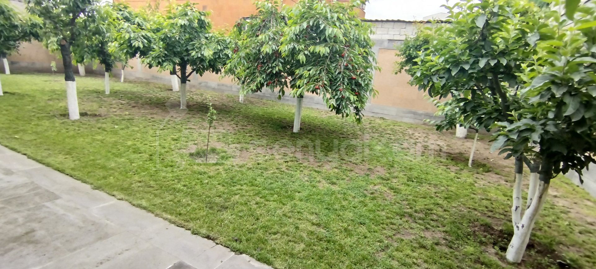 6 Սենյականոց Շքեղ Առանձնատուն, 250քմ, Կահավորված, Լողավազանով, Ավտոտնակով