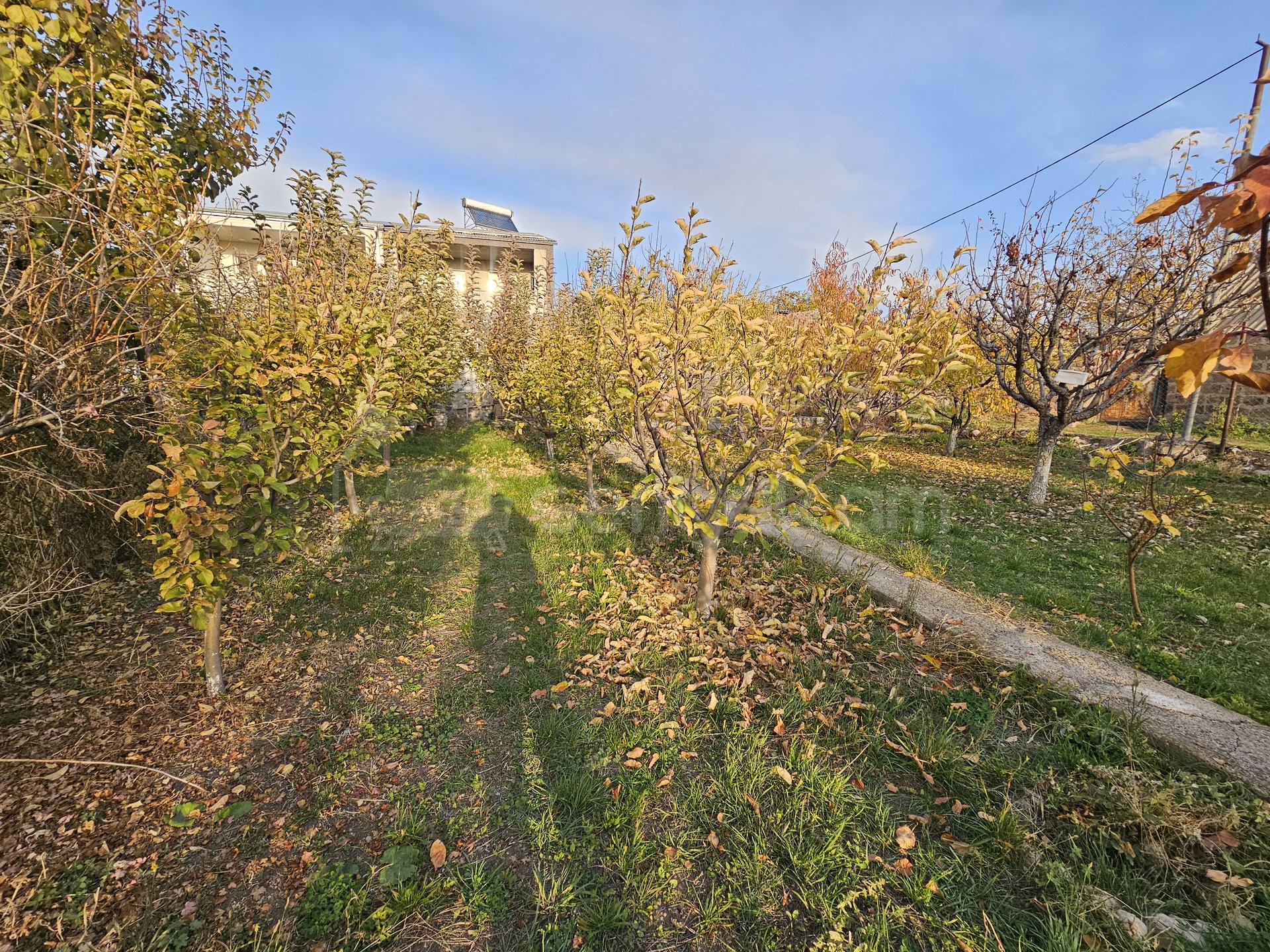 5 Սենյականոց Սեփական Տուն, 207քմ, Կապիտալ Վերանորոգված