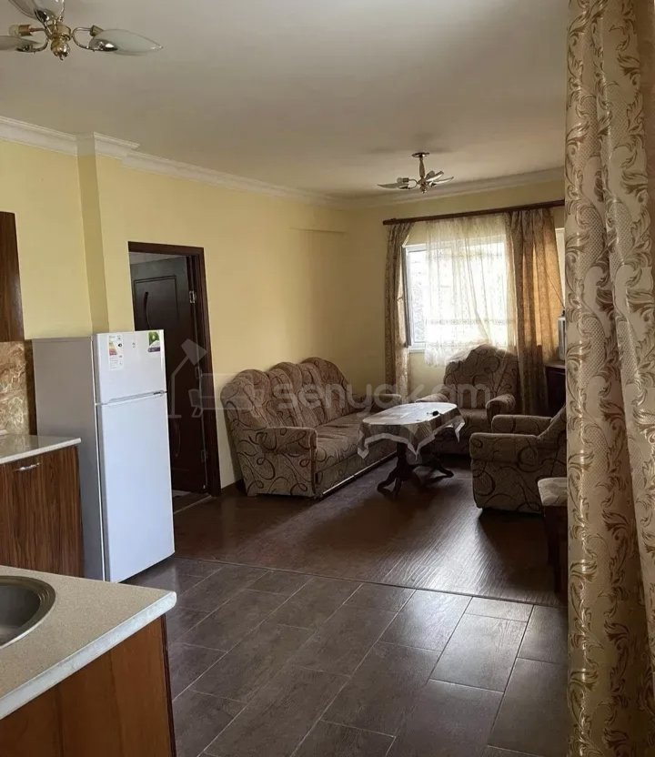 2 Սենյականոց Բնակարան Քարե Շենքում, 56քմ, 1/1 հարկ, Կապիտալ Վերանորոգված, Կահավորված