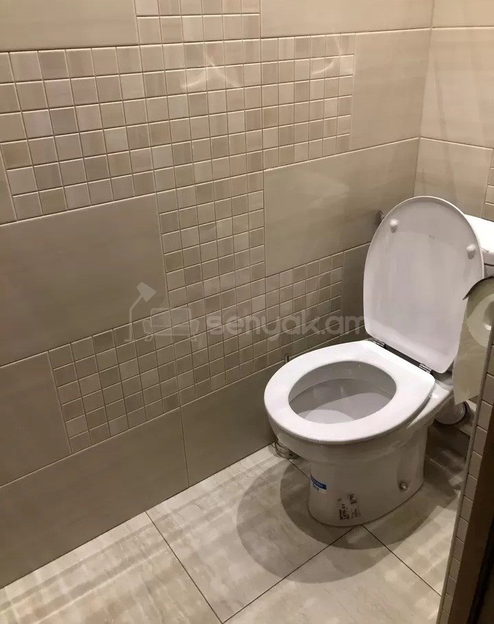 3 Սենյականոց Բնակարան, 81քմ, 2/12 հարկ, Նորմալ Վիճակում