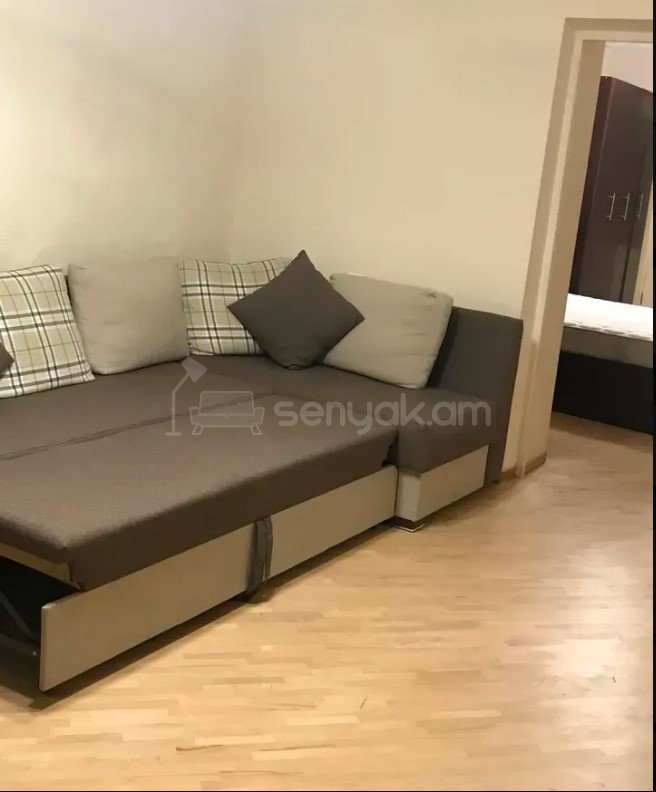 2 Սենյականոց Բնակարան Քարե Շենքում, 50քմ, 5/5 հարկ, Կապիտալ Վերանորոգված, Կահավորված